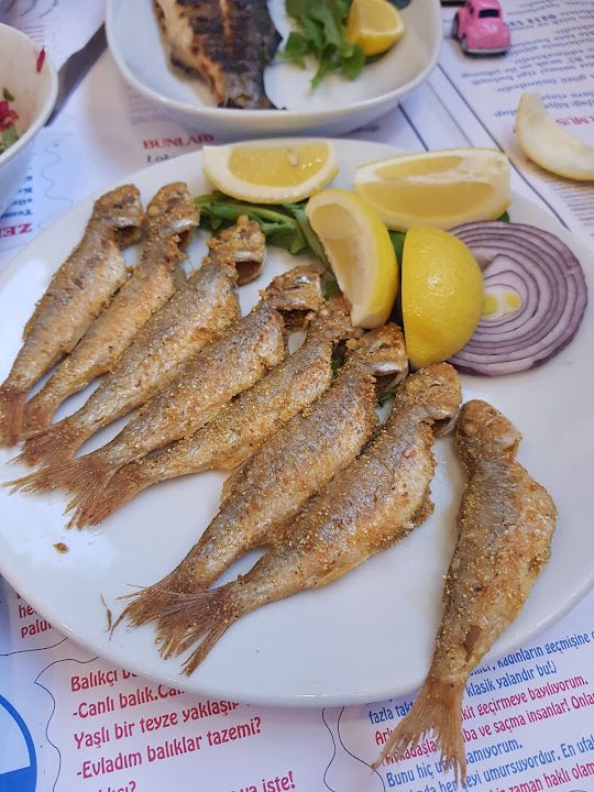 Fotoğraf 7