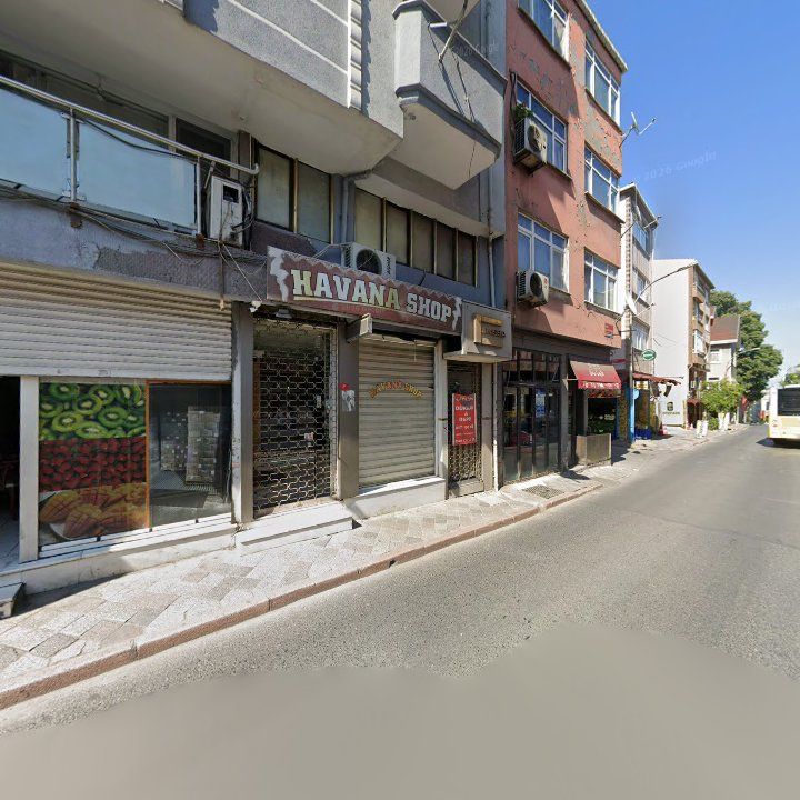 Fotoğraf 13