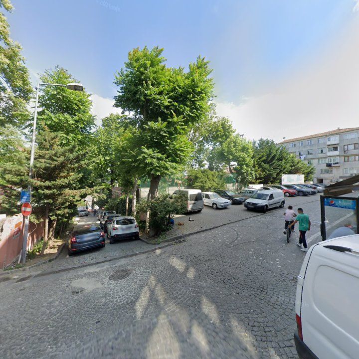 Fotoğraf 10