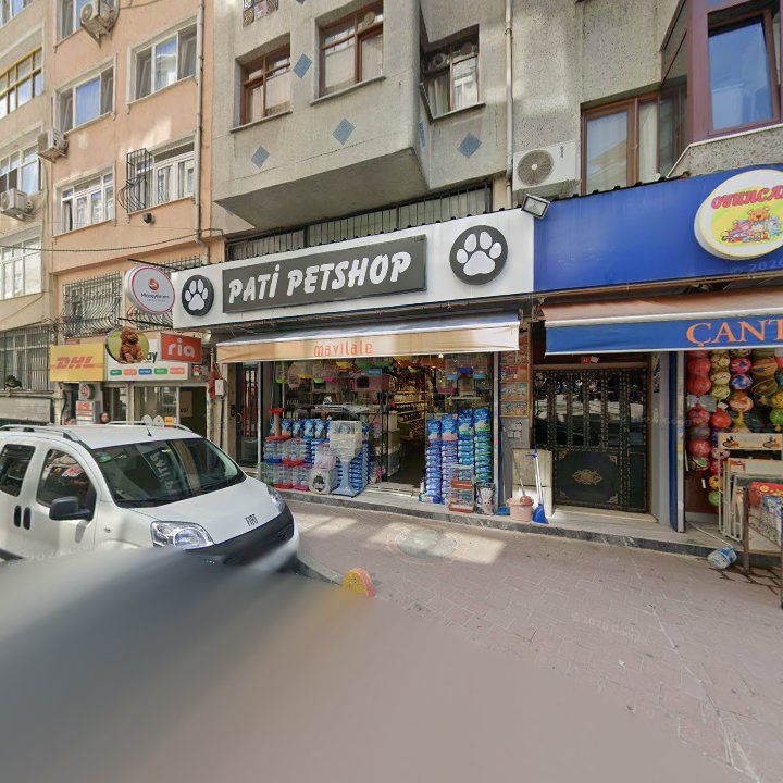 Fotoğraf 15