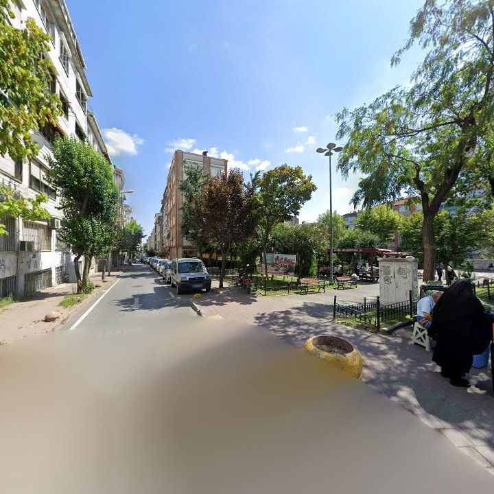 Fotoğraf 9