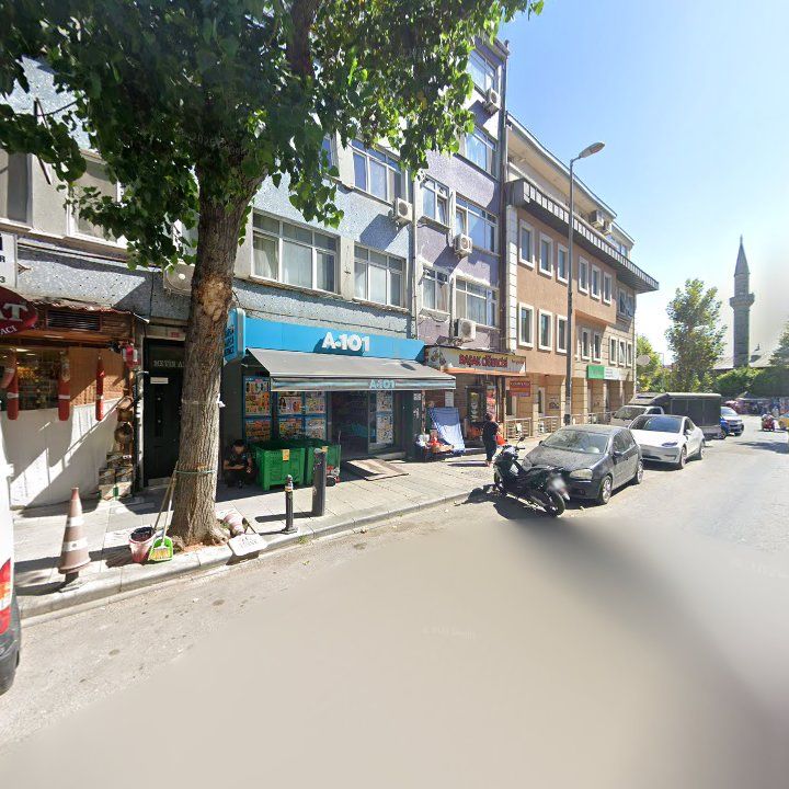Fotoğraf 11