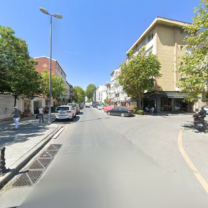Fotoğraf 12