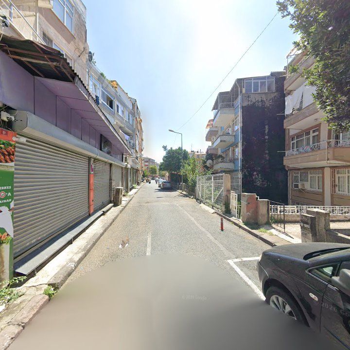 Fotoğraf 8