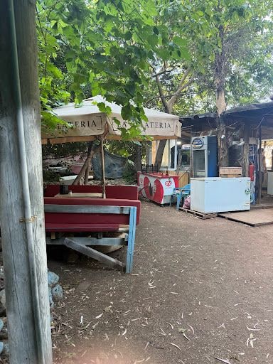 Fotoğraf 33
