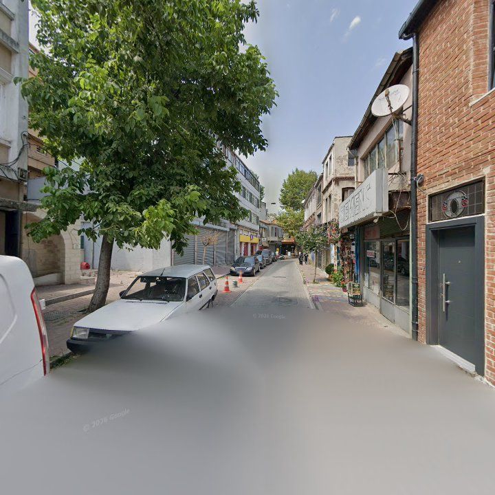 Fotoğraf 8