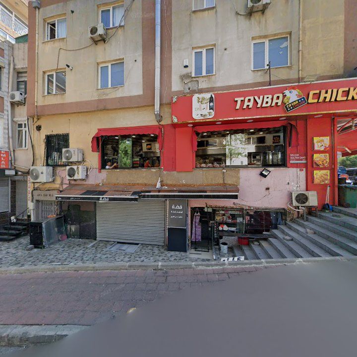 Fotoğraf 12