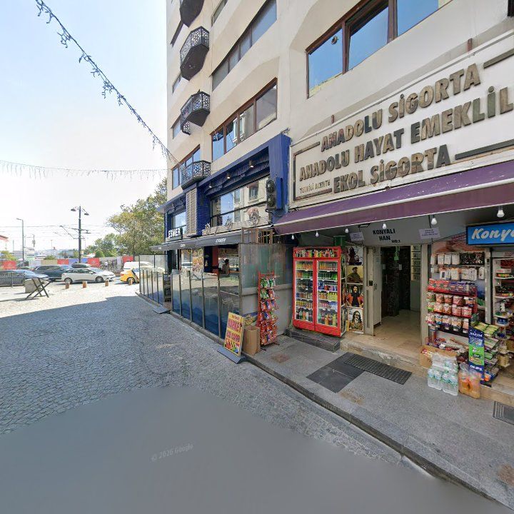 Fotoğraf 16