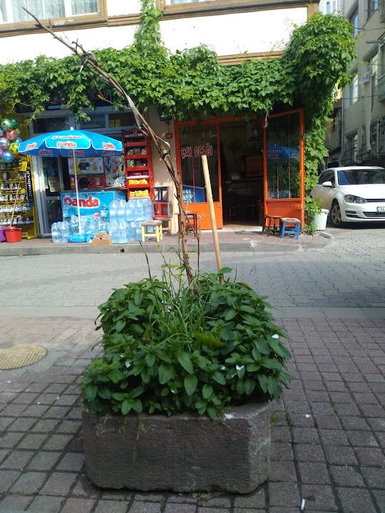 Fotoğraf 4