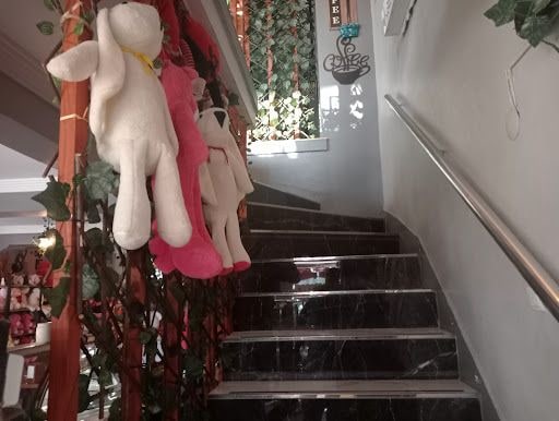 Yorum fotoğrafı 6