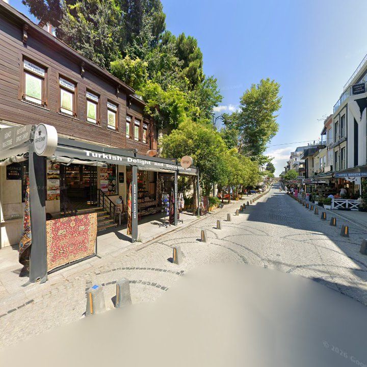 Fotoğraf 15