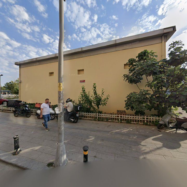 Fotoğraf 7