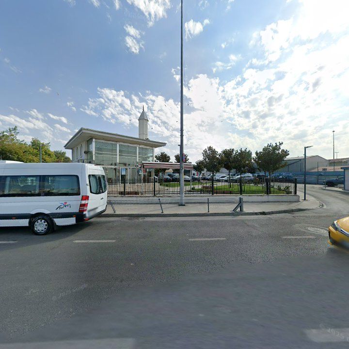 Fotoğraf 7