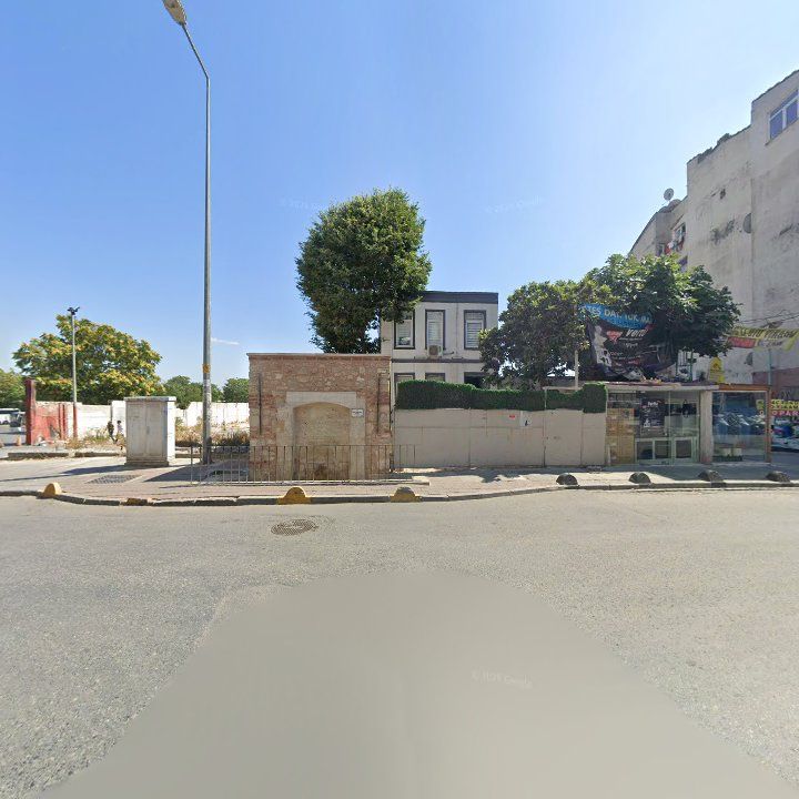 Fotoğraf 8