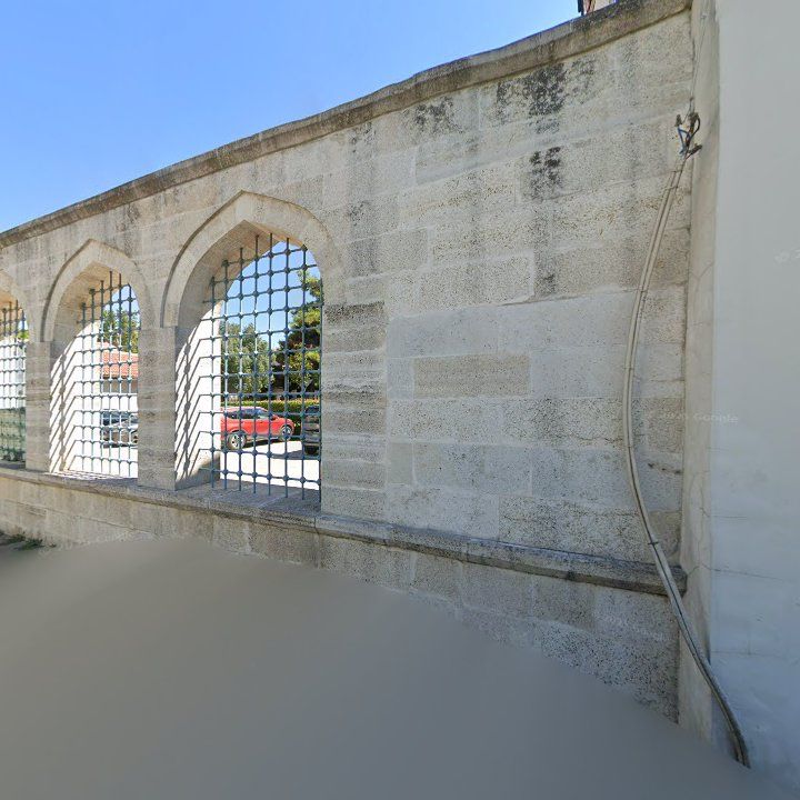 Fotoğraf 9