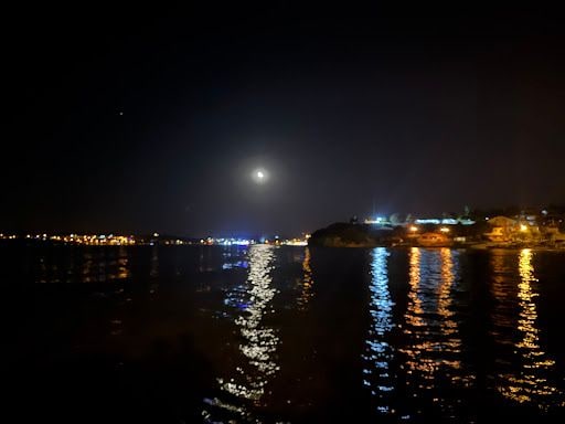 Fotoğraf 15