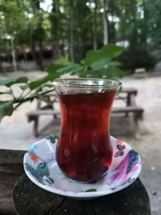 Fotoğraf 29