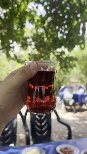 Fotoğraf 39