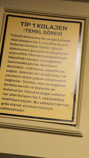 Yorum fotoğrafı 6
