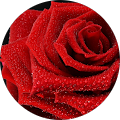 Fatma I