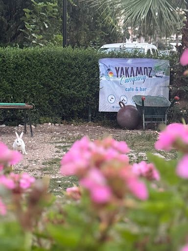 Yorum fotoğrafı 7