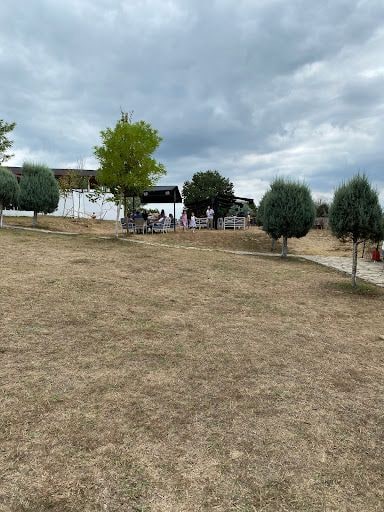 Fotoğraf 31