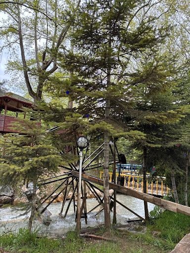 Yorum fotoğrafı 3