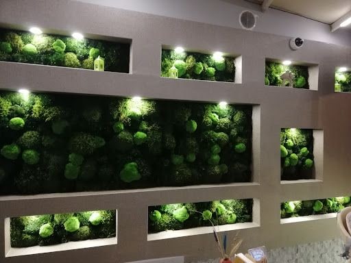 Yorum fotoğrafı 5