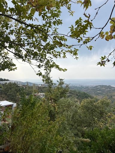 Yorum fotoğrafı 3