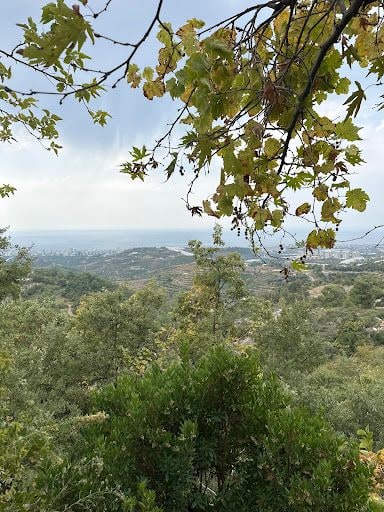 Yorum fotoğrafı 4
