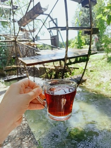Yorum fotoğrafı 5