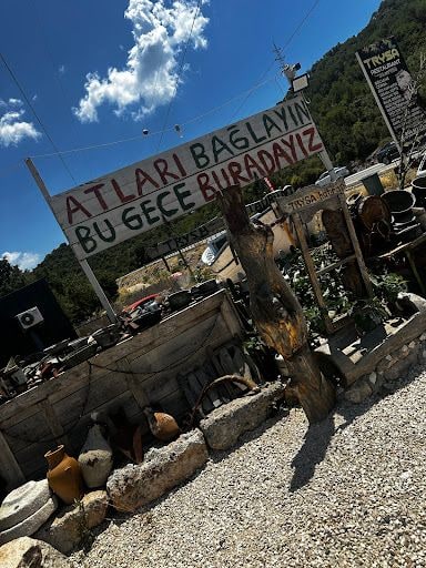 Yorum fotoğrafı 3
