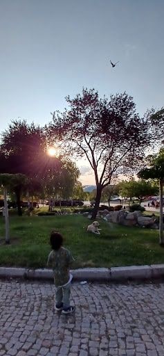 Yorum fotoğrafı 2
