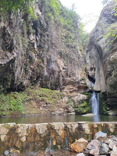 Fotoğraf 23