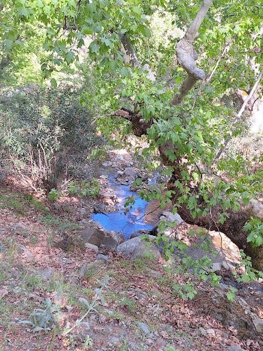 Fotoğraf 26