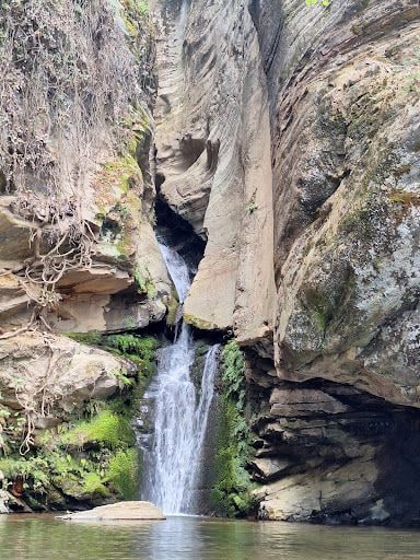 Fotoğraf 27