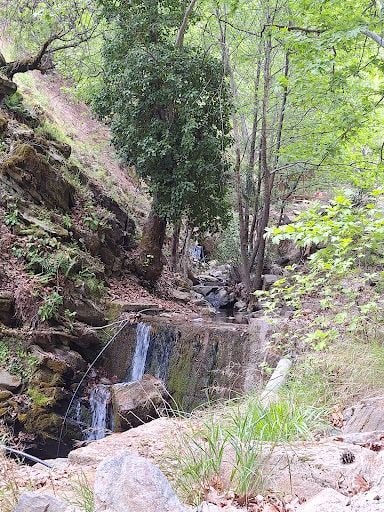 Fotoğraf 28