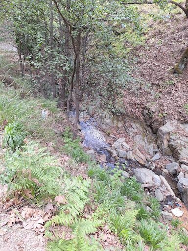 Fotoğraf 29
