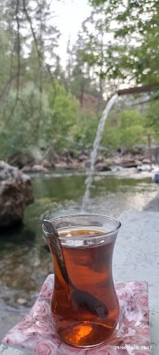 Yorum fotoğrafı 5