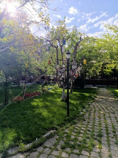 Yorum fotoğrafı 6