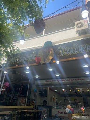 Fotoğraf 15