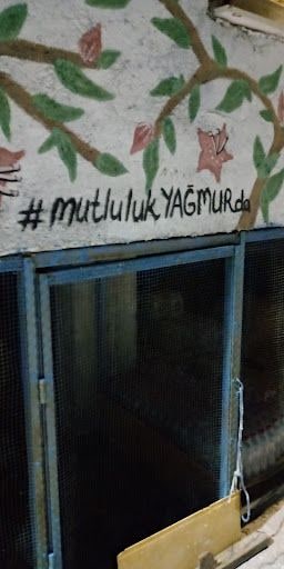 Yorum fotoğrafı 7