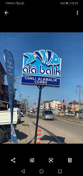 ALA BALIK VE CORBA