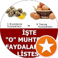 Fatsa Bıldırcın