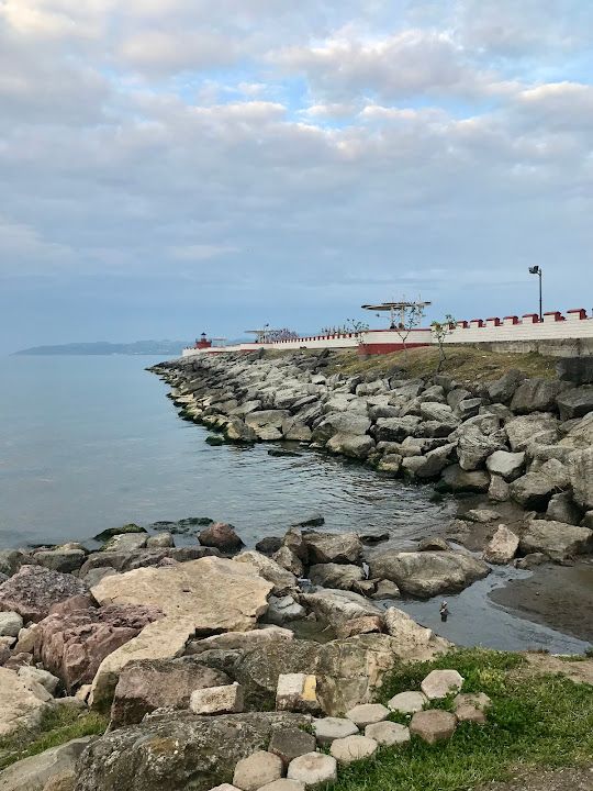 Fatsa Belediyesi Erguvan Kafe
