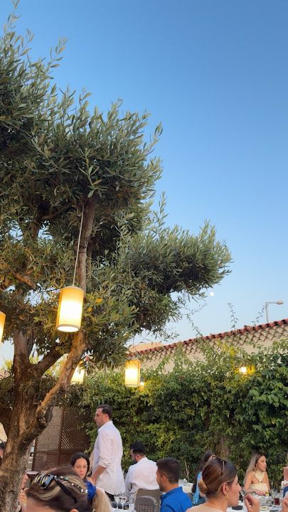 Fotoğraf 107