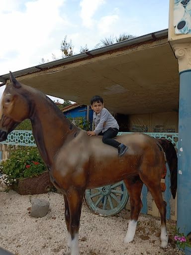 Fotoğraf 11