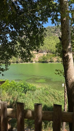 Fotoğraf 12