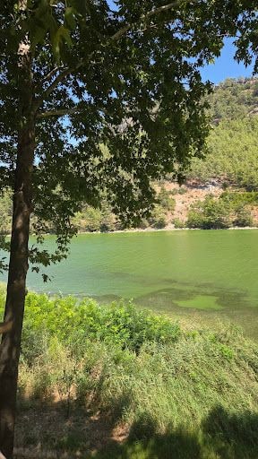 Fotoğraf 13