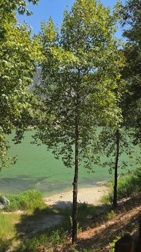 Fotoğraf 14